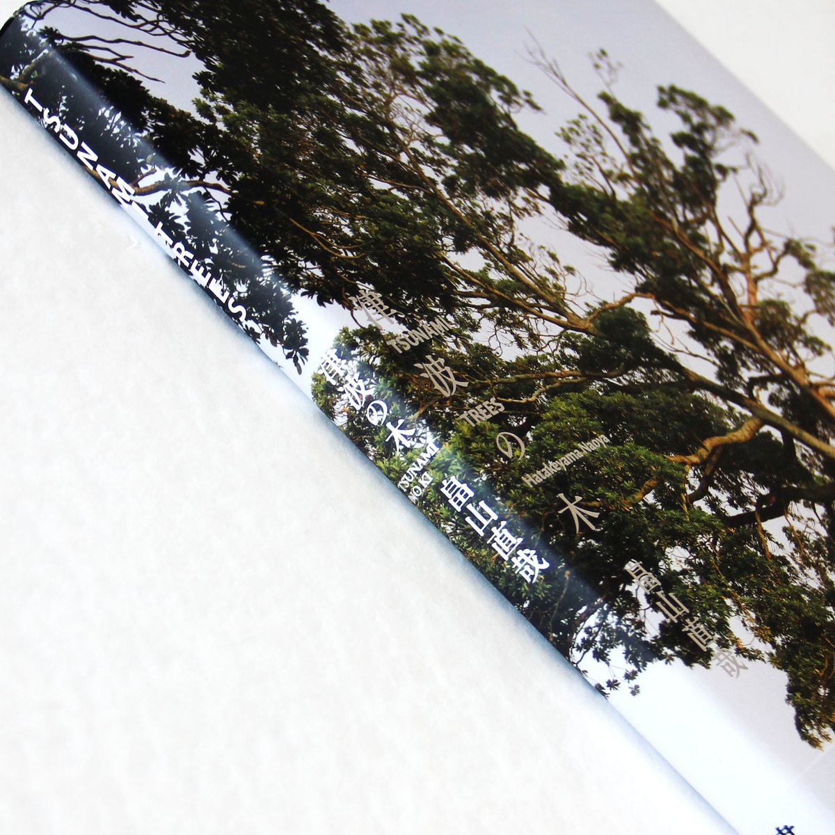 畠山直哉『津波の木』 | Fugensha STORE