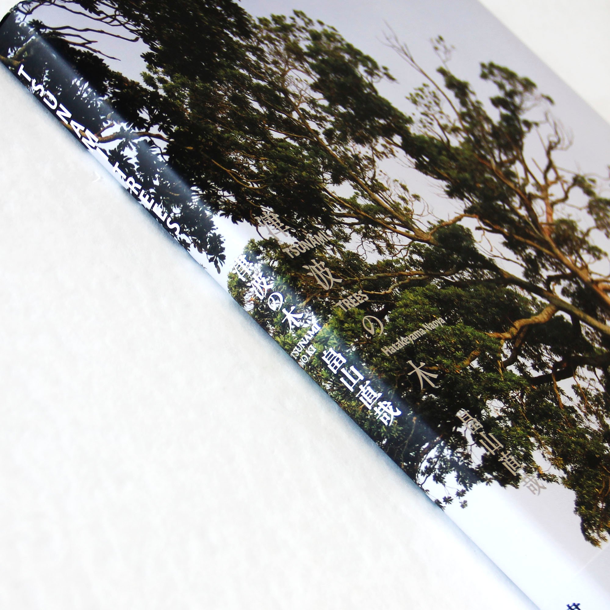 畠山直哉『津波の木』 | Fugensha STORE