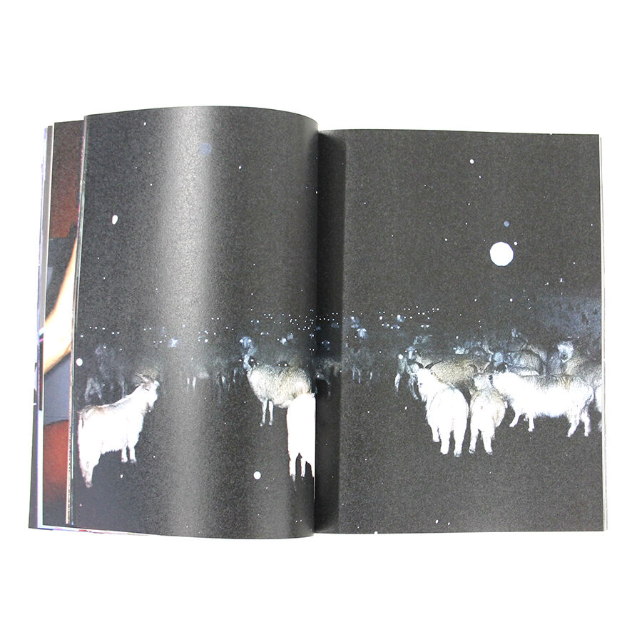 Ryu Ika 『The Second Seeing』(サイン入り) | Fugensha S Ryu Ika 『The Second Seeing』(サイン入り) | Fugensha S