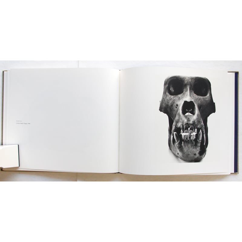 洋書 Irving Penn, Cranium Architecture Irving Penn『Cranium