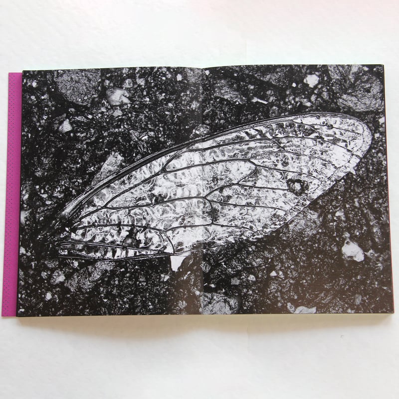 変貌する経営者の世界　ドラッカー　サイン入り 変貌する経営者の世界 ドラッカー サイン入り ドラッカー日本