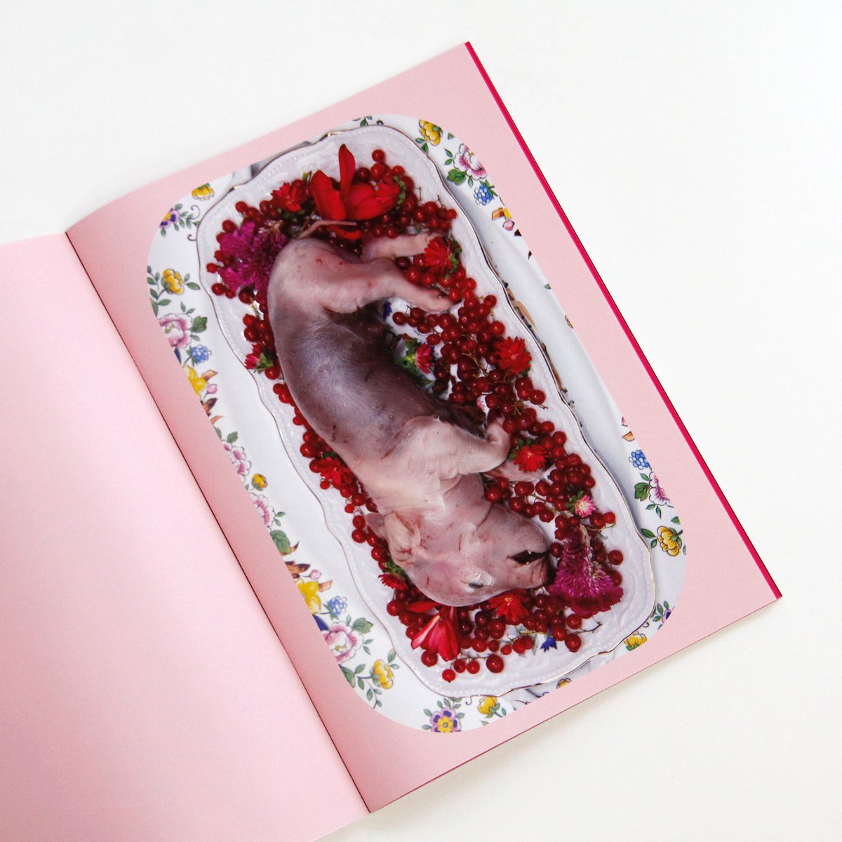 Wunderkammer うつゆみこ, ポスター.サイン入り うつゆみこ『Bon appétit』（サイン入り） | Fugensha STORE