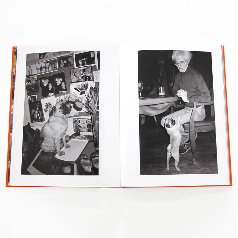 PAIGE POWELL | Fugensha STORE PAIGE POWELL | Fugensha STORE