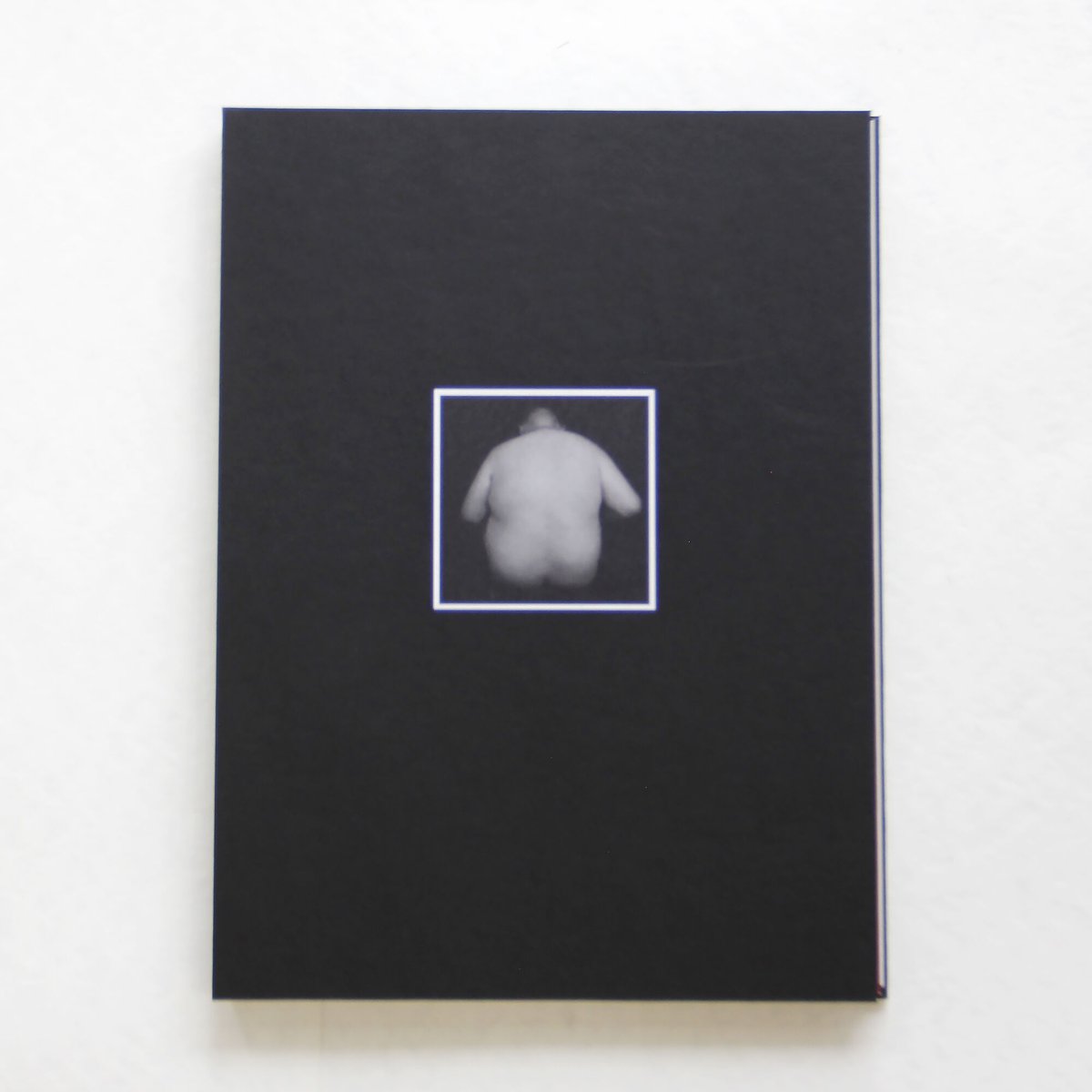 William L. Hawkins、RHINO、希少大判画集画、新品額装付 鷹野隆大『KIKUO』 [SPECIAL EDITION] #1 | Fugensha STORE