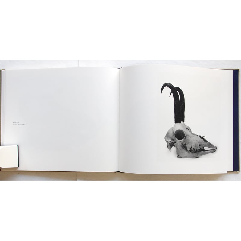 Irving Penn『Cranium Architecture』 | Fugensha STORE