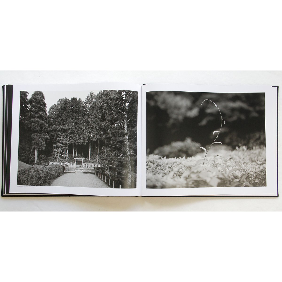 伊奈英次『EMPEROR OF JAPAN』（サイン入り） | Fugensha STORE
