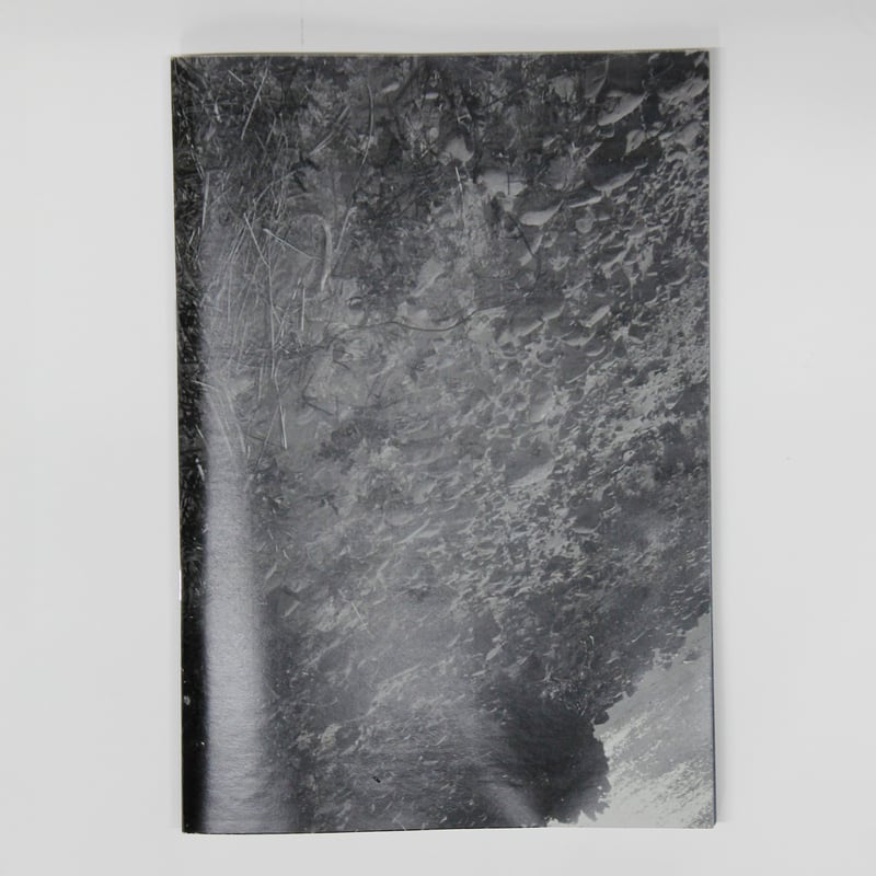 横田大輔『植物、多摩川中流域、冬』スペシャルエディション