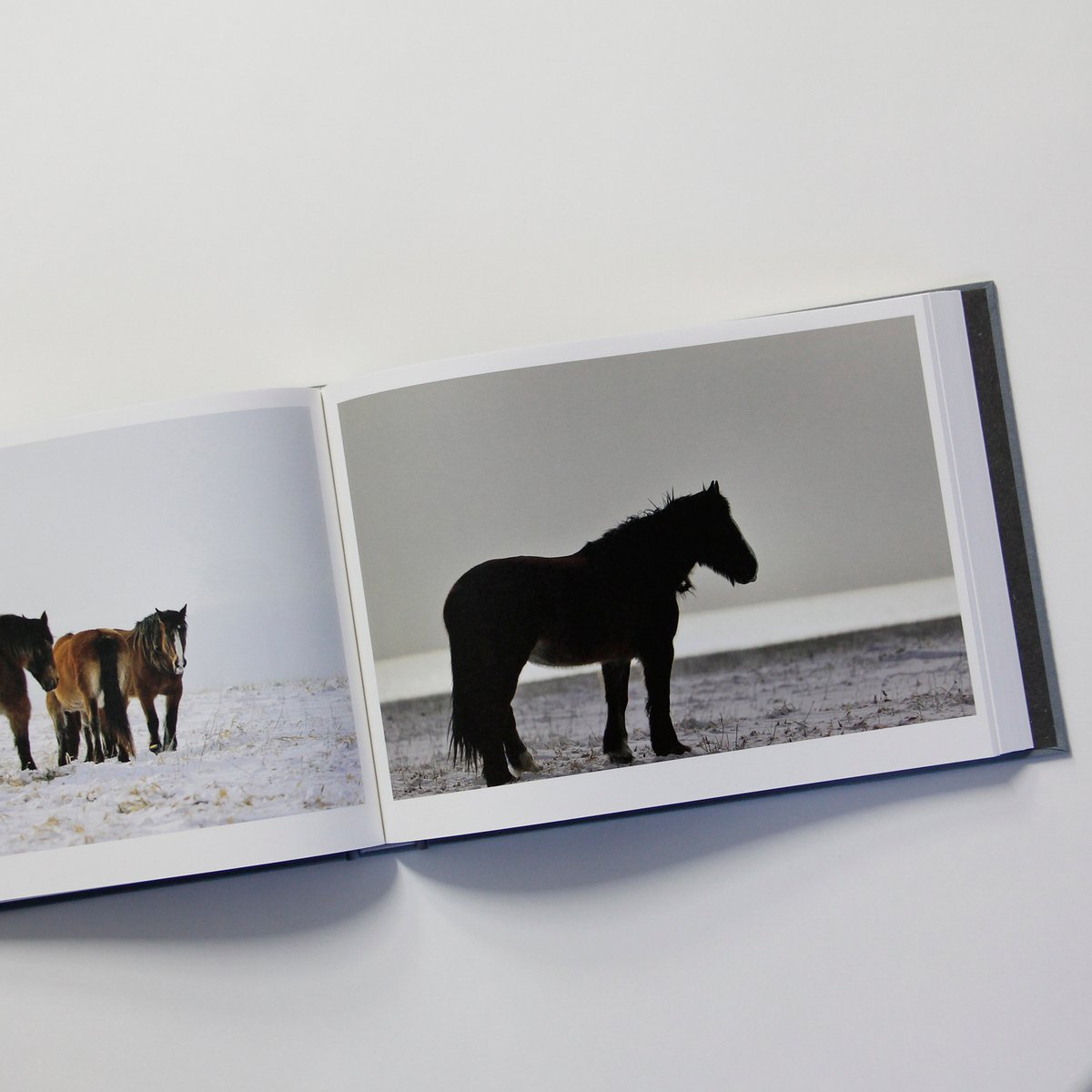 岡田 敦 写真集 『ユルリ島の馬』 岡田敦『ユルリ島の馬』 | Fugensha STORE