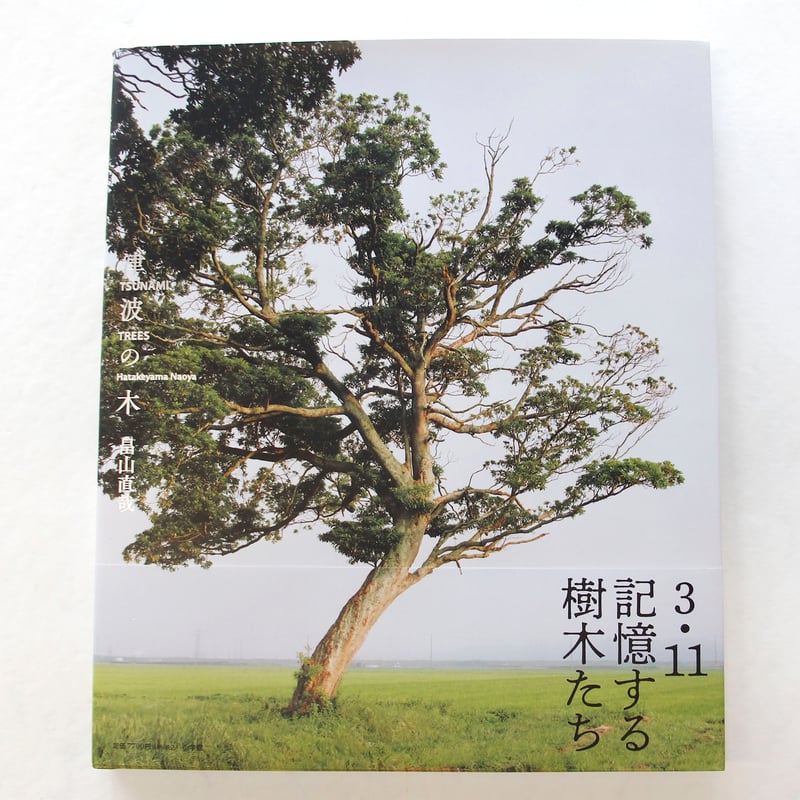 畠山直哉『津波の木』 | Fugensha STORE