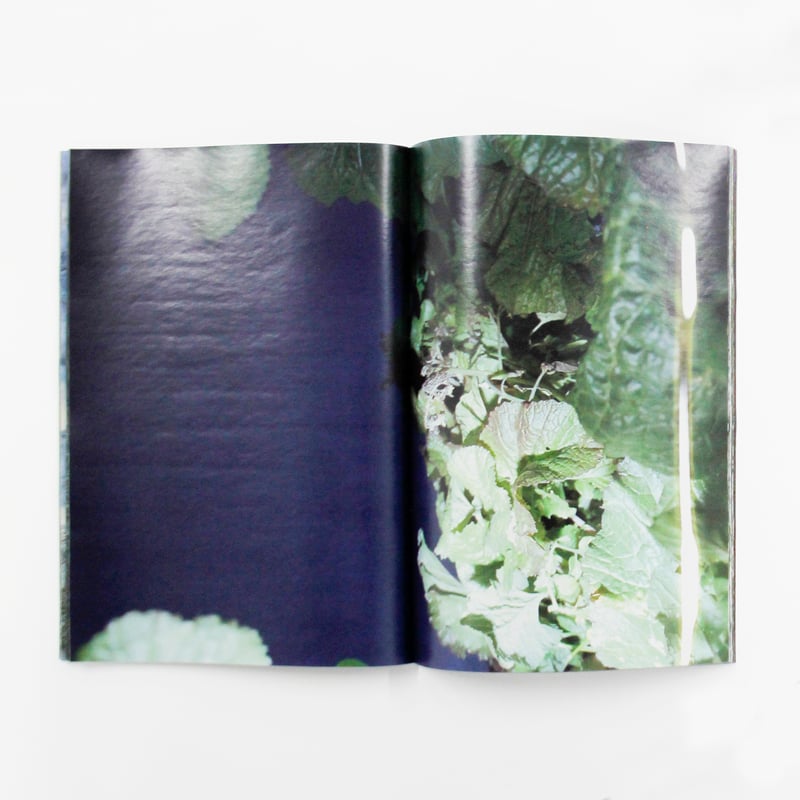 横田大輔『植物、多摩川中流域、冬』（サイン入り） | Fugensha STORE