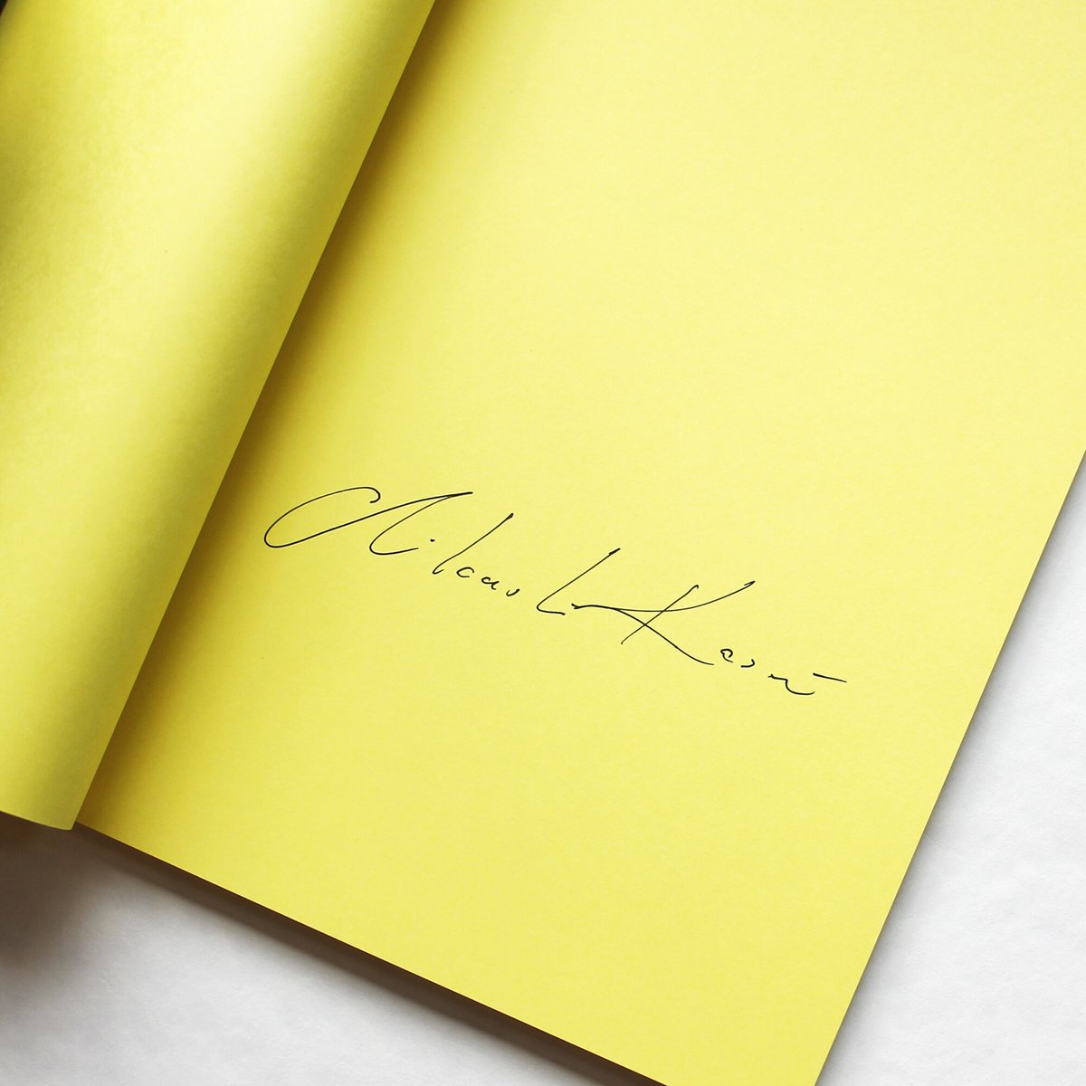 Celia Calle セリア・カーレ 直筆サイン入り 画集 【公式通販】