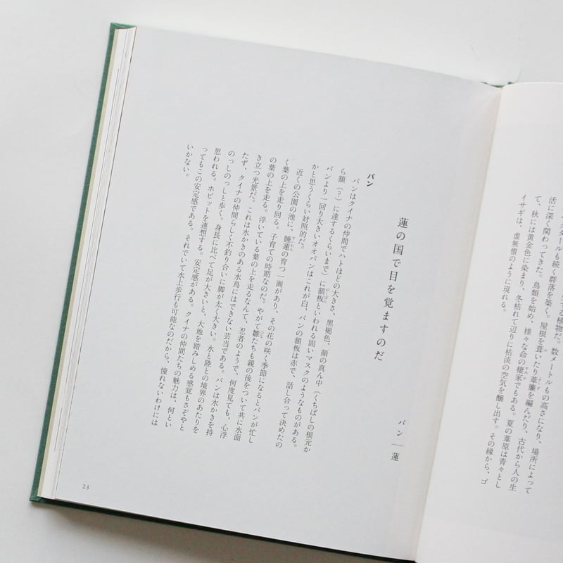 梨木香歩、ユカワアツコ、長島有里枝『草木鳥鳥文様』 | Fugensha STORE