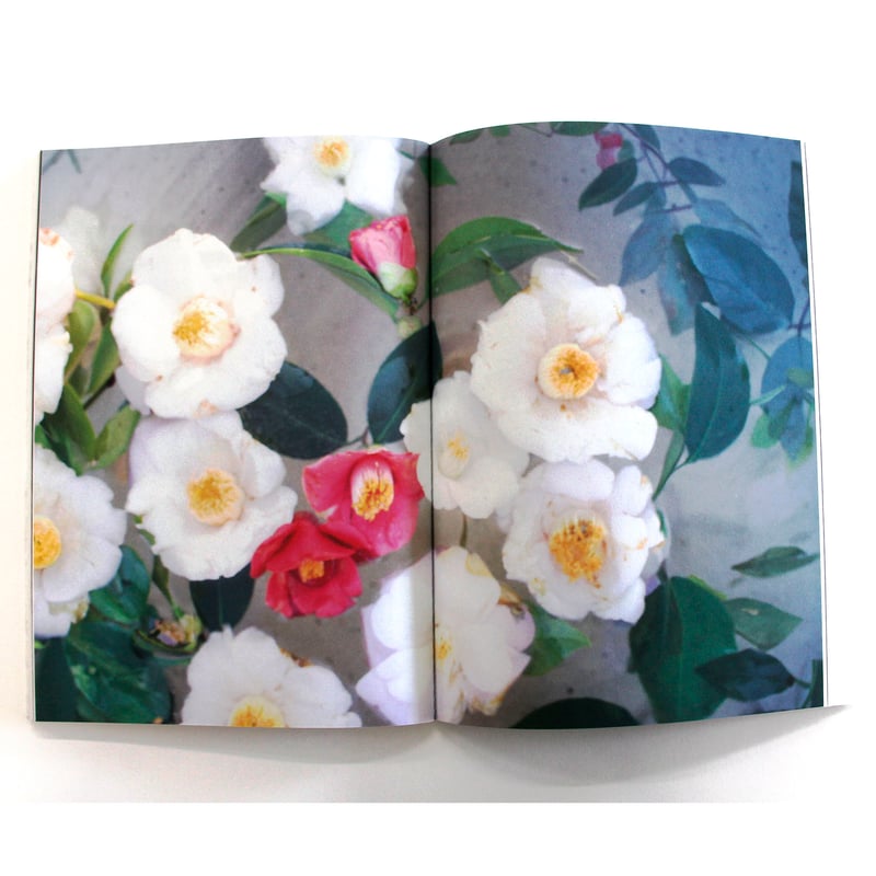 Sale■渡部さとる オリジナル プリント 六切 1996 エクタルア プリント Sale□渡部さとる オリジナル プリント 六切 1996 エクタルア プリント