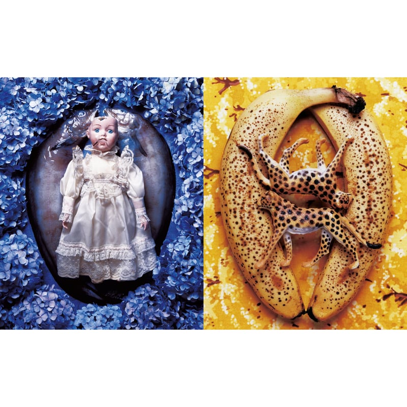 Wunderkammer うつゆみこ, ポスター.サイン入り うつゆみこ『Wunderkammer』 | Fugensha STORE