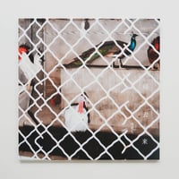 宇田川直寛『DAILY』（サイン入り） | Fugensha STORE