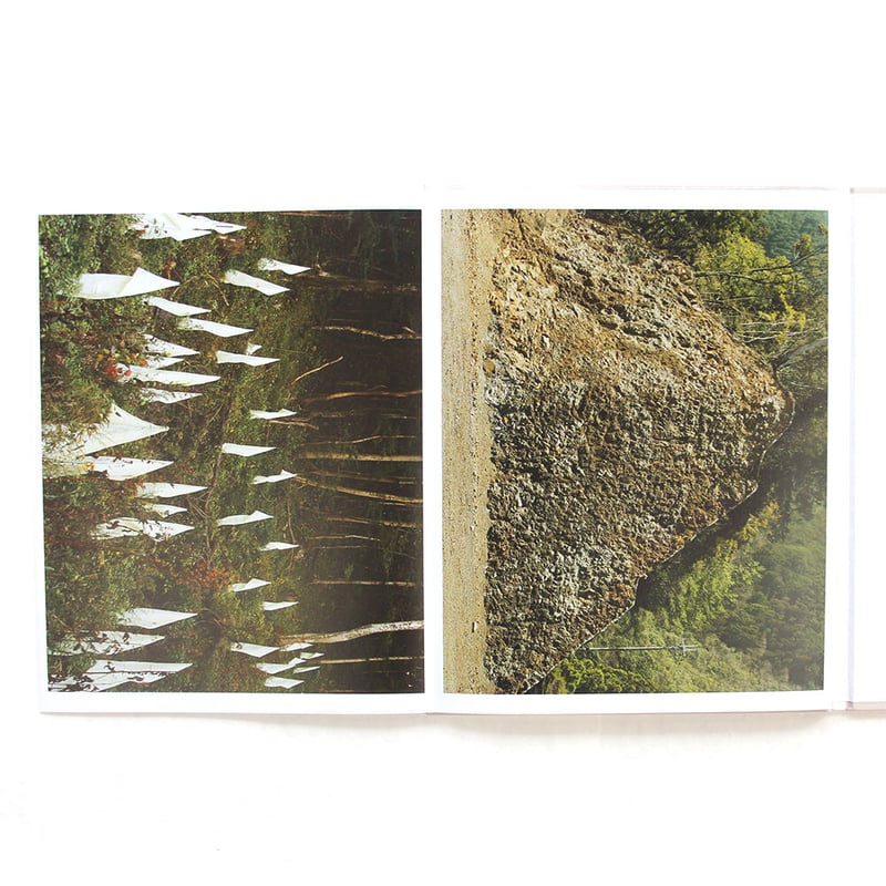 柴田敏雄　オリジナルプリント 柴田敏雄 《日本典型》 コロタイプポートフォリオ京都便利堂