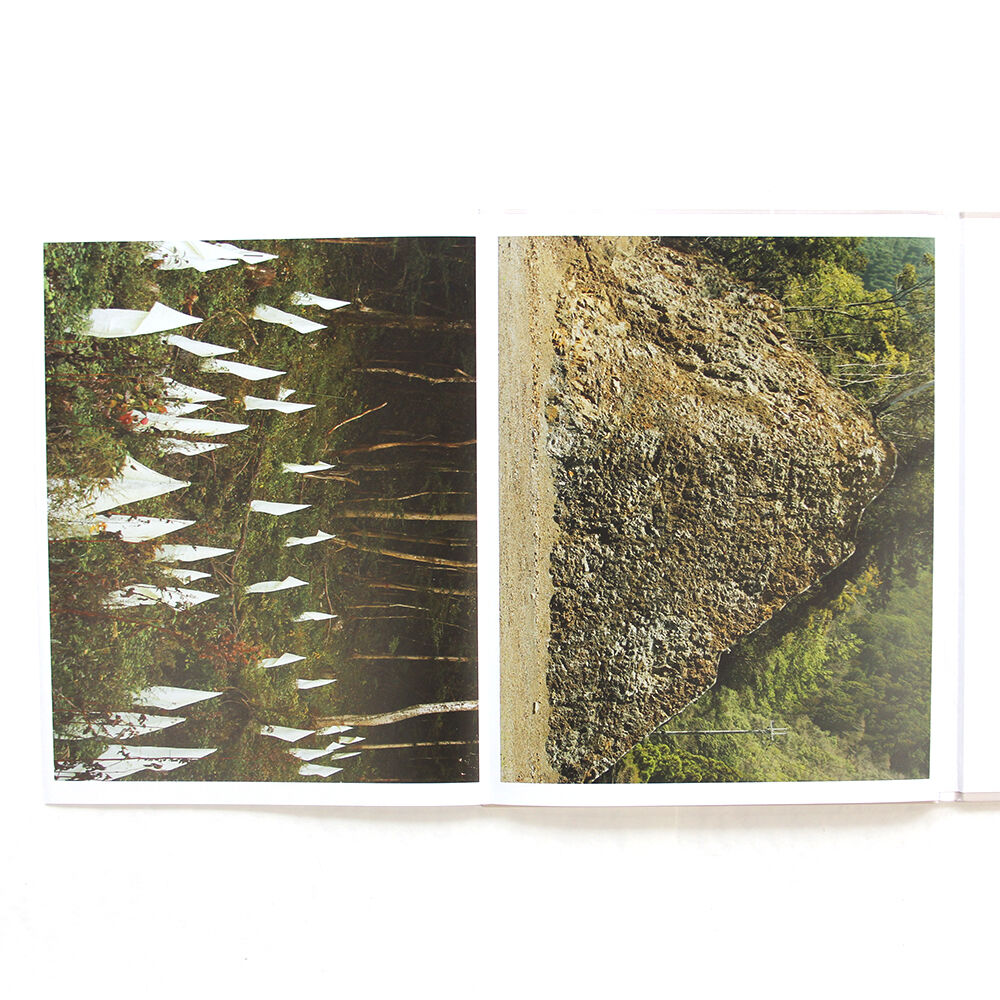 柴田敏雄『PAINTING』 | Fugensha STORE