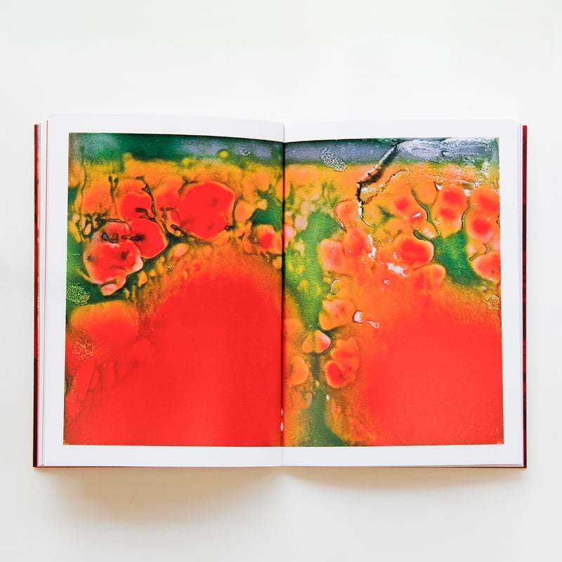 藤原更『記憶の花』 | Fugensha STORE