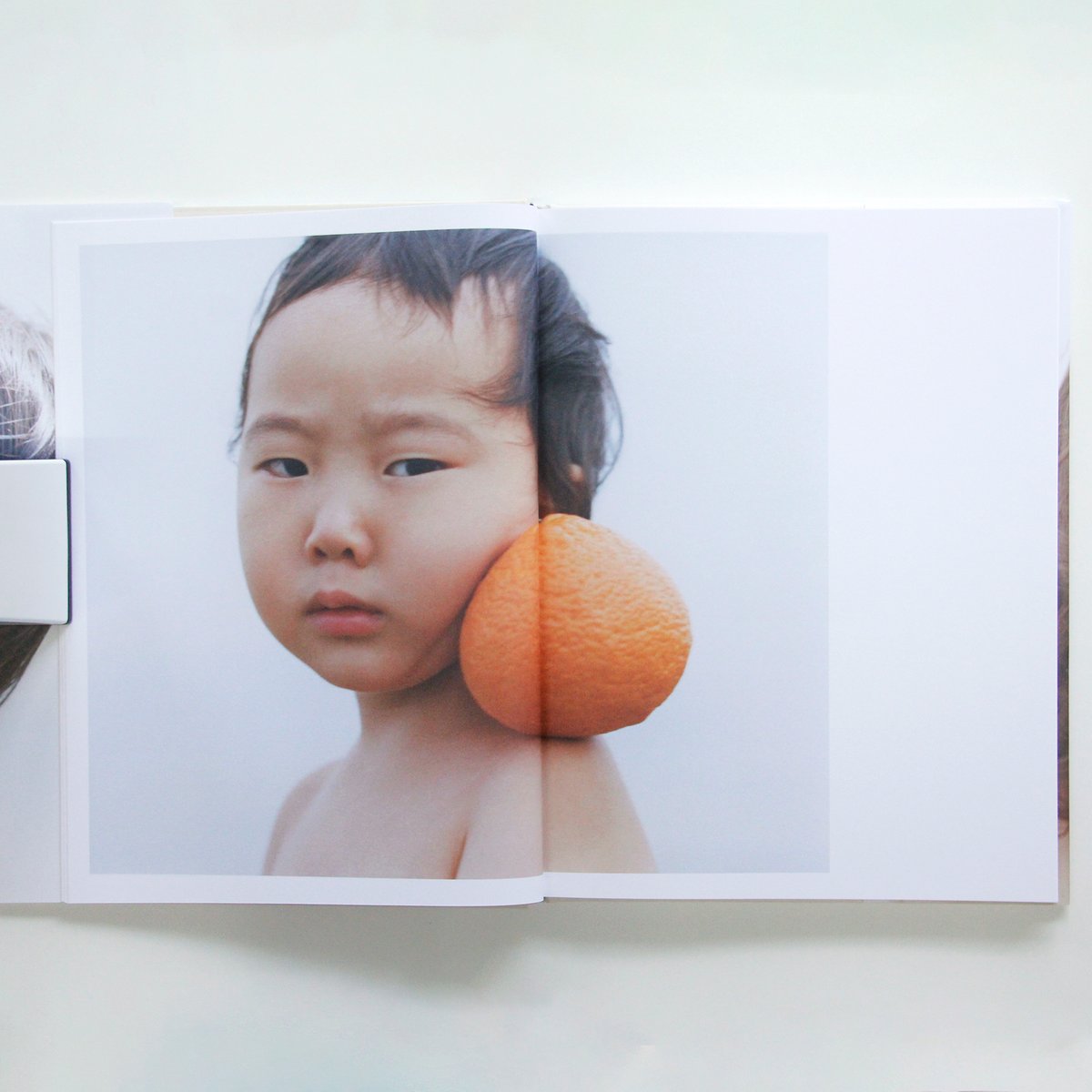 横浪修『Primal』（サイン入り） | Fugensha STORE