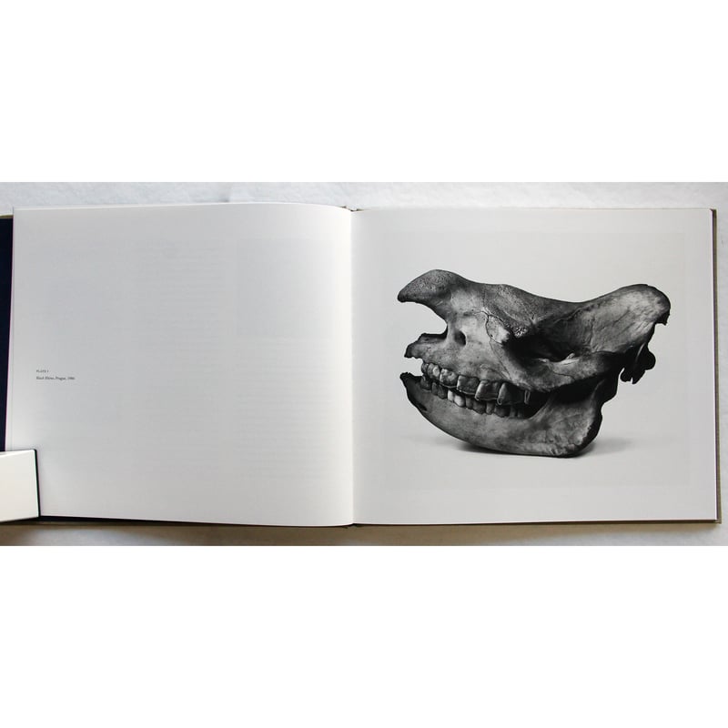 Irving Penn『Cranium Architecture』 | Fugensha STORE