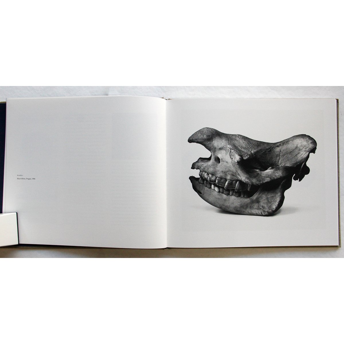 Irving Penn『Cranium Architecture』 | Fugensha STORE