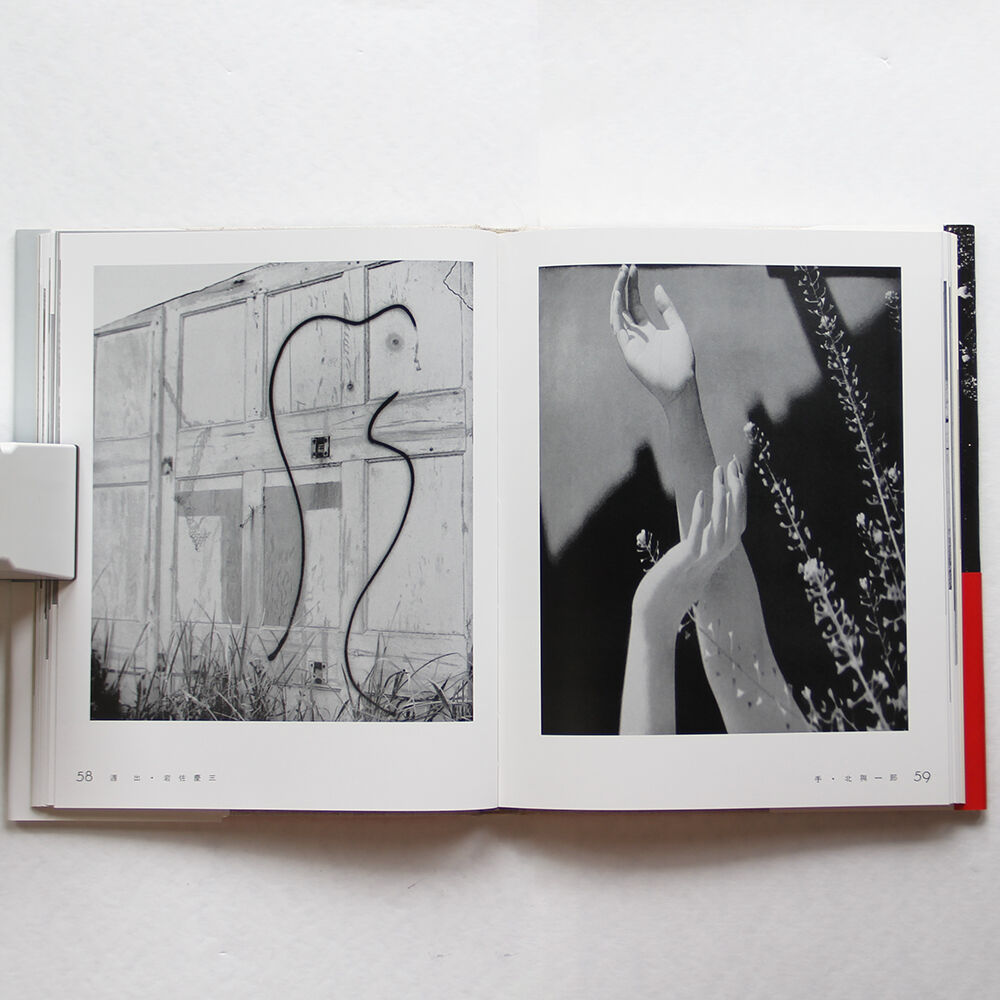 丹平写真倶楽部　写真画集　光　国書刊行会　復刻　日本写真史の至宝　飯沢耕太郎 丹平写真倶楽部・光 (日本写真史の至宝) 監修=飯沢耕太郎、金子隆一