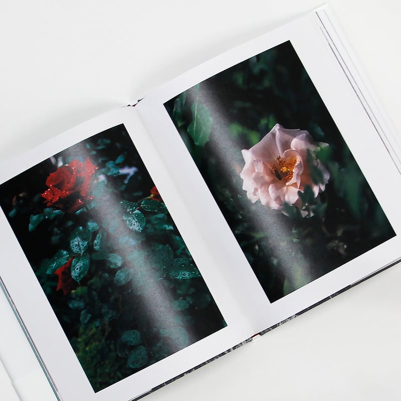 公文健太郎『バラの花咲く家』（サイン入り） | Fugensha STORE