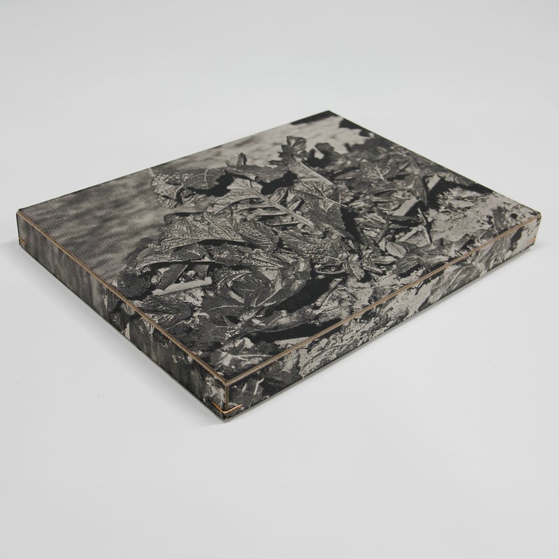 横田大輔『植物、多摩川中流域、冬』スペシャルエディション