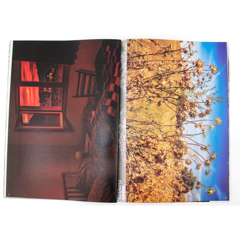 野村恵子『Naked Flowers』（サイン入り、ステッカー付き） | Fugensha