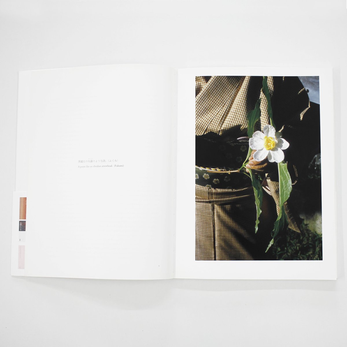 しむらのいろー志村ふくみ・志村洋子の染織 （写真 大石芳野