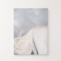 野村佐紀子『Lirio』（サイン入り） | Fugensha STORE