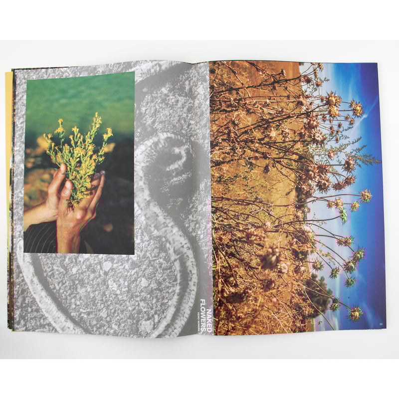 野村恵子『Naked Flowers』（サイン入り、ステッカー付き） | Fugensha