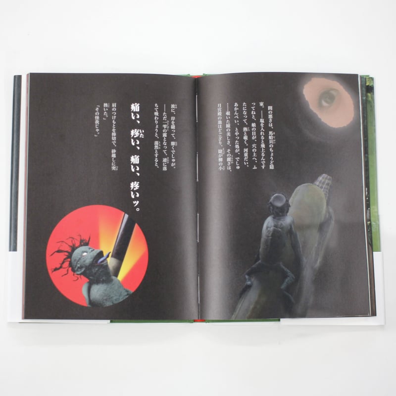 謎の鑑賞石？花活けかな？明治か大正か？ 石塚公昭、泉鏡花『貝の穴に河童の居る事』 | Fugensha STORE