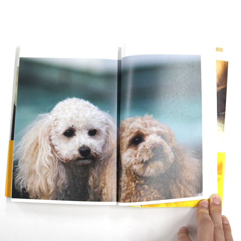 太田靖久, 金川晋吾『犬たちの状態』（サイン入り） | Fugensha
