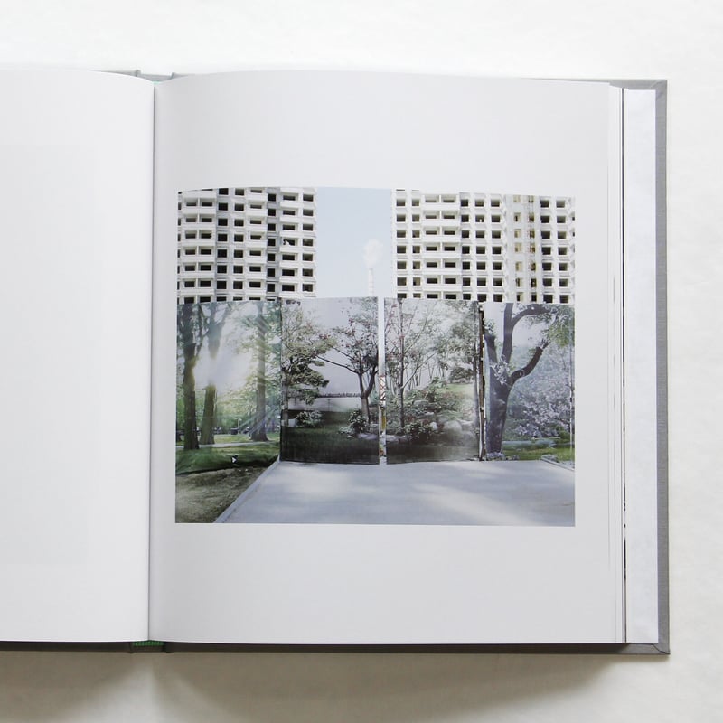 王露『Frozen are the Winds of Time』 | Fugensha STORE