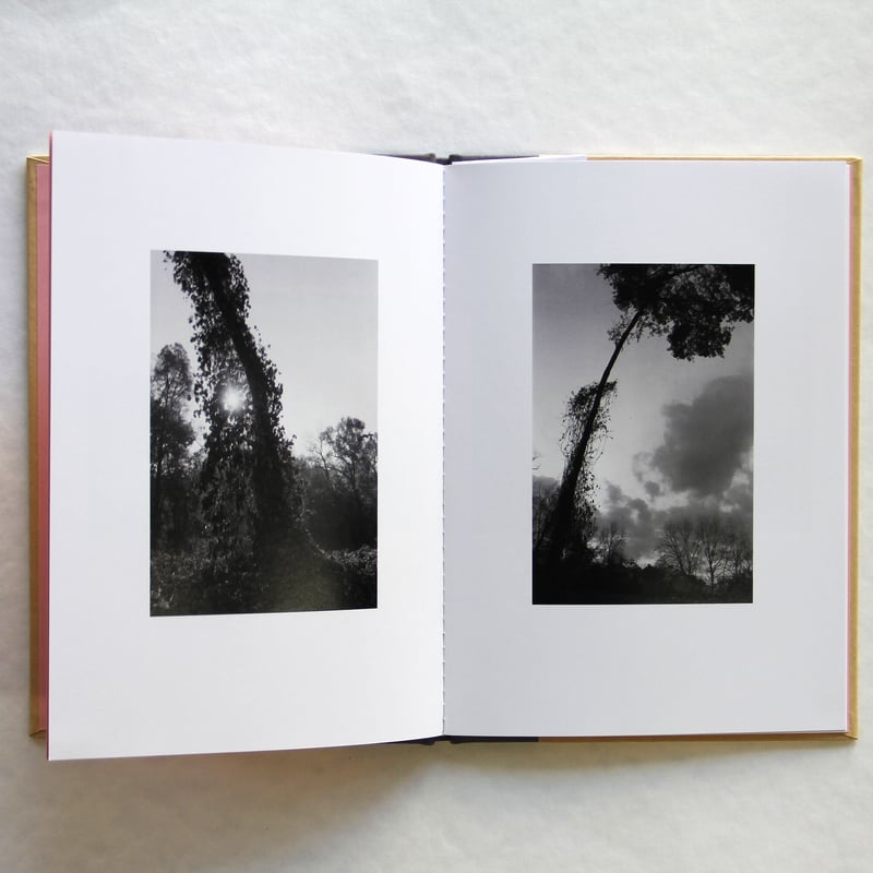 芸術写真 Mark Steinmetz / Original Print Mark Steinmetz | East Hartford, Connecticut (1988