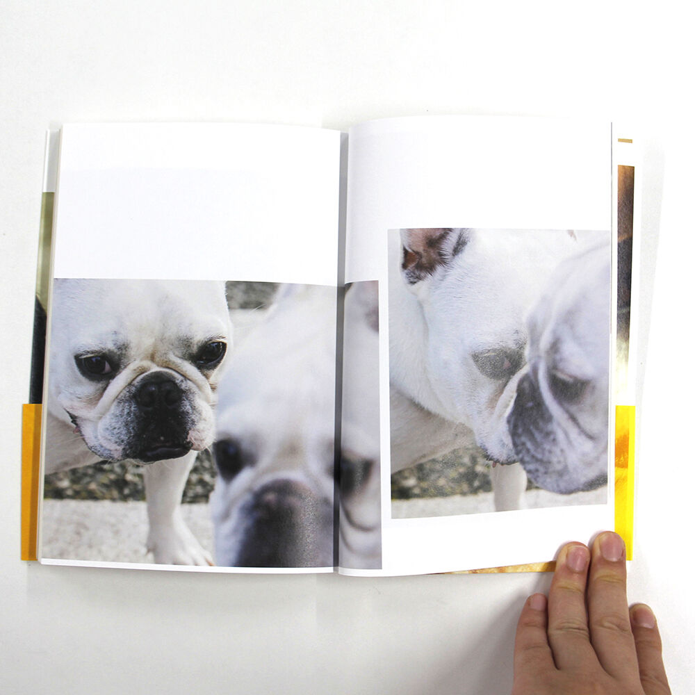 太田靖久, 金川晋吾『犬たちの状態』（サイン入り） | Fugensha STORE