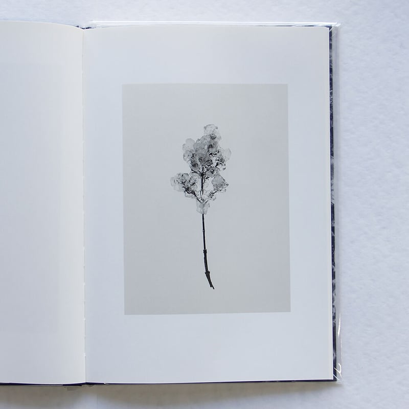 細倉真弓『TRANSPARENCY IS THE NEW MYSTERY』（サイン入り） |