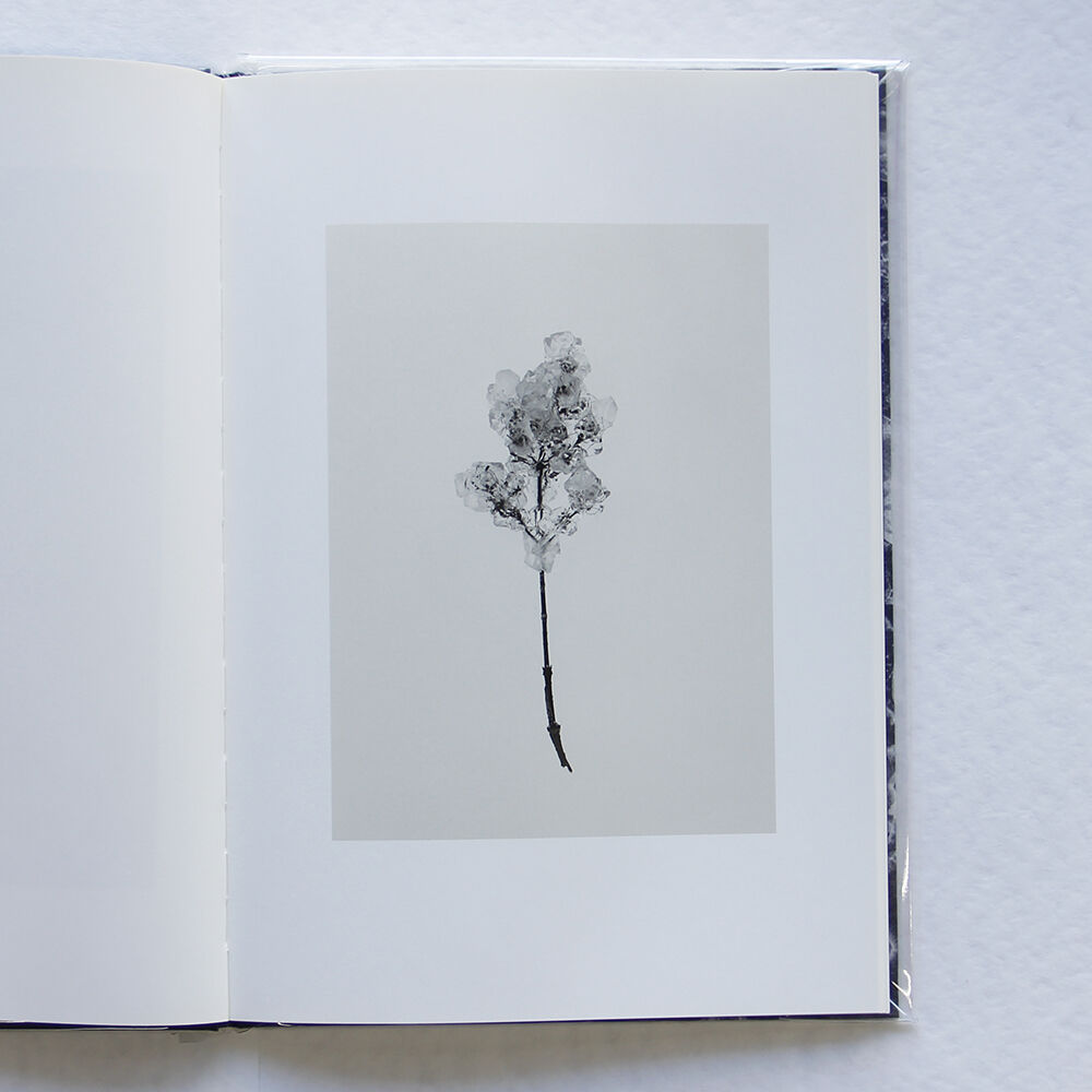 細倉真弓『TRANSPARENCY IS THE NEW MYSTERY』（サイン入り） |