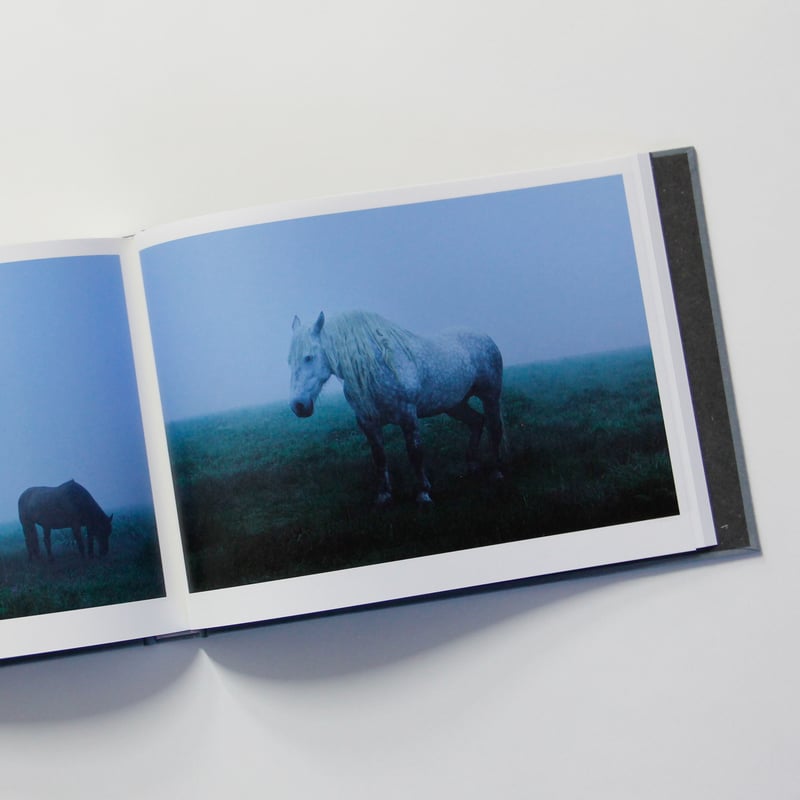 岡田 敦 写真集 『ユルリ島の馬』 The Horses of Yururi Island ユルリ島の馬 岡田敦 写真集 岡田敦 -の