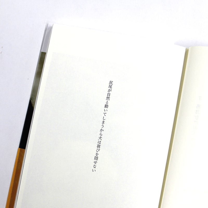 太田靖久, 金川晋吾『犬たちの状態』（サイン入り） | Fugensha