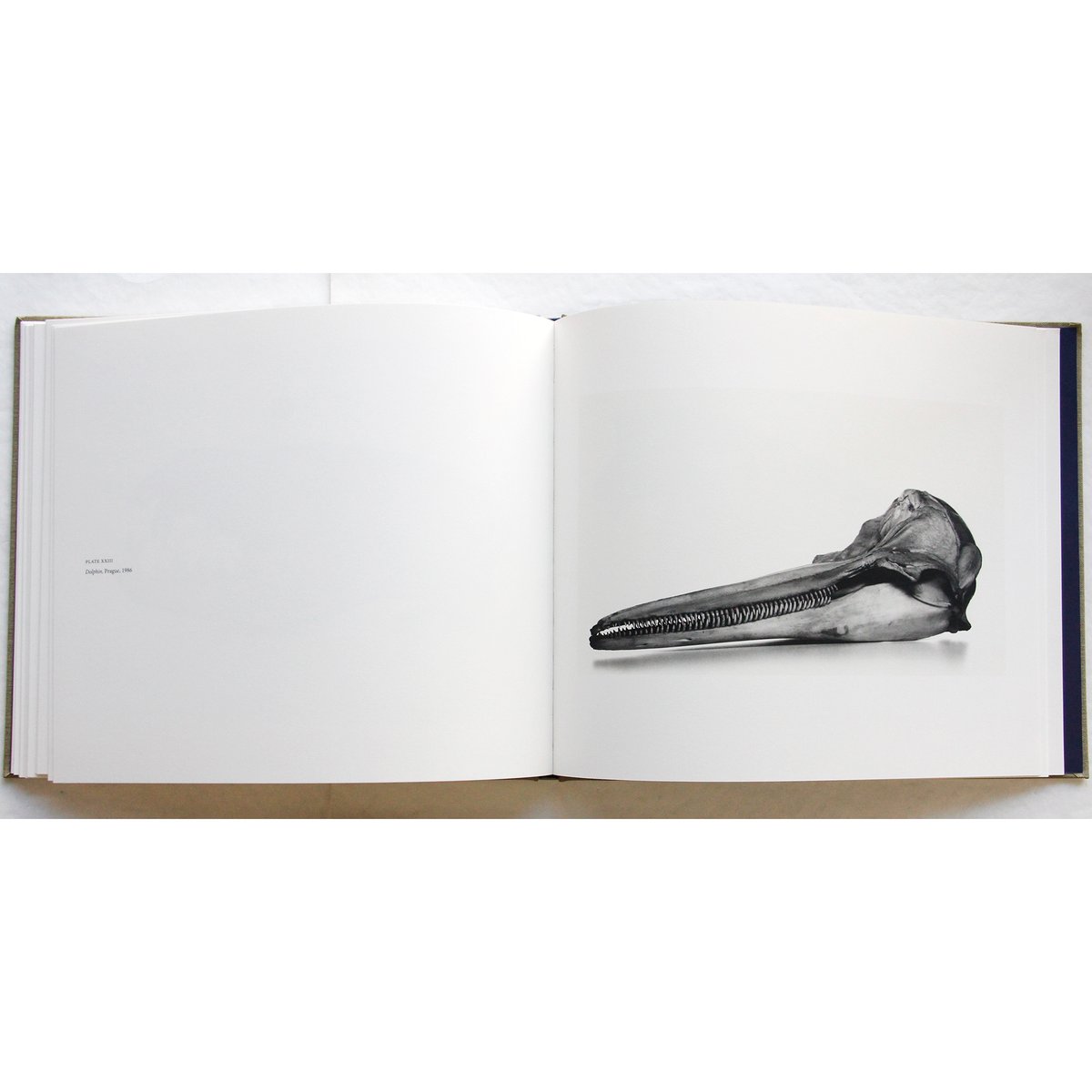 Irving Penn『Cranium Architecture』 | Fugensha STORE