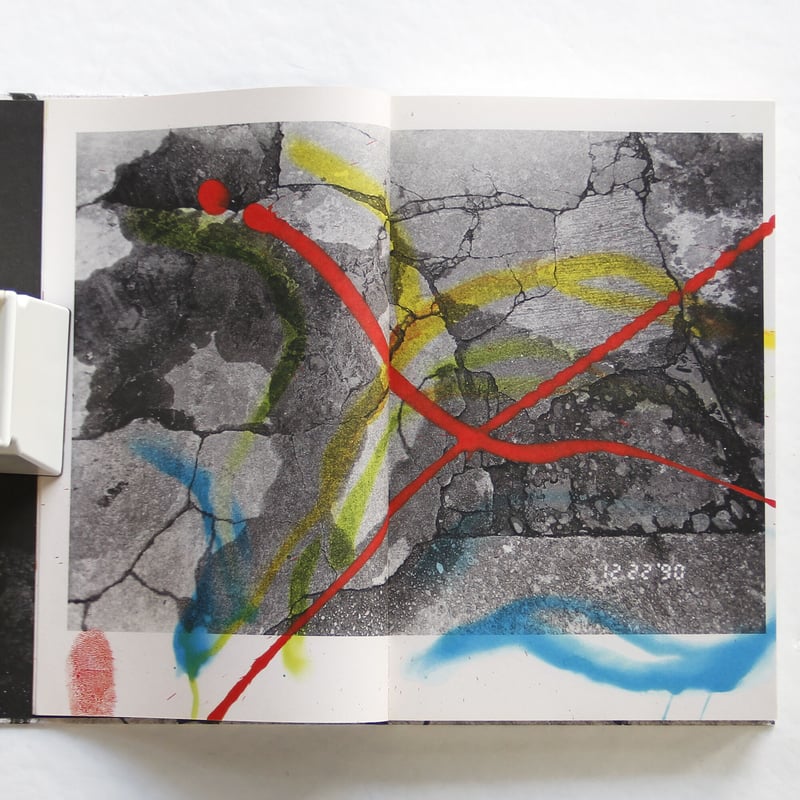 深瀬昌久『HIBI』 | Fugensha STORE