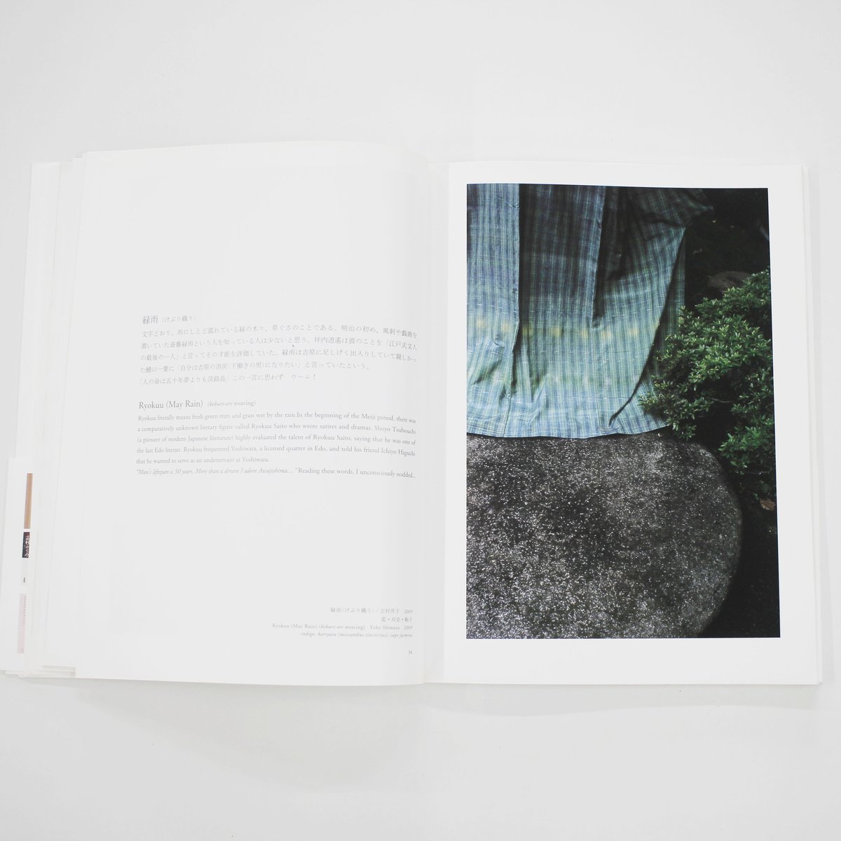 しむらのいろー志村ふくみ・志村洋子の染織 （写真 大石芳野