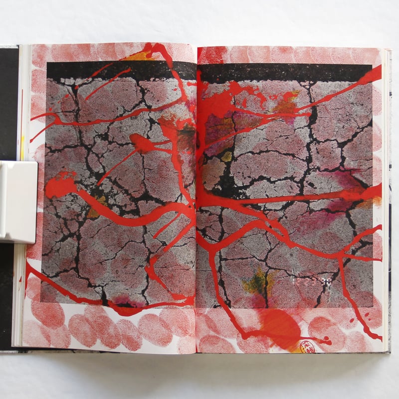 深瀬昌久『HIBI』 | Fugensha STORE