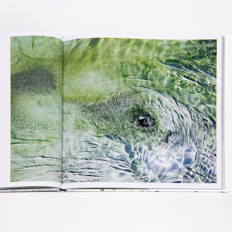 GOTO AKI『terra』（サイン入り） | Fugensha STORE