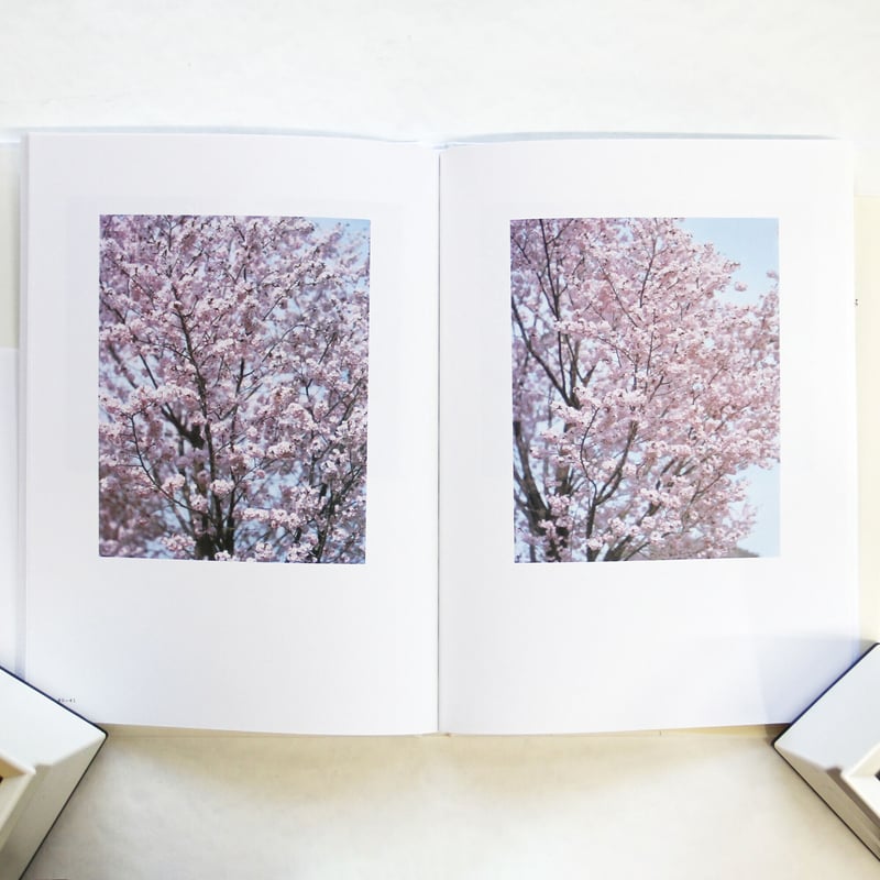 SAKURA 鈴木理策 写真集 写真集〕SAKURA| 鈴木理策 | Risaku Suzuki | 鈴木理策 | Risaku Suzuki