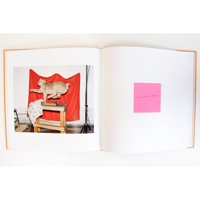 Alec Soth『ADVICE FOR YOUNG ARTISTS』（サイン入り） | Fu