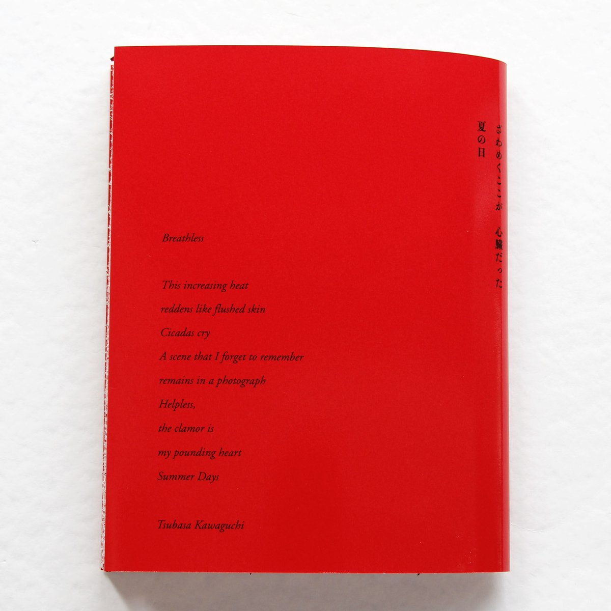 サイン入り　心の原風景 ブライアンの目 サランラン 사란란 (Sa-lanlan)《川島小鳥さんサイン本》 – 青幻