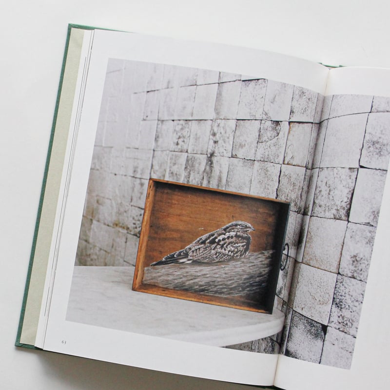 梨木香歩、ユカワアツコ、長島有里枝『草木鳥鳥文様』 | Fugensha STORE